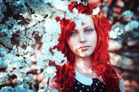 wallpaper women redhead dyed hair depth of field long hair red cherry blossom spring