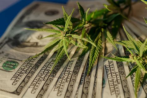 How Cannabis Employees Get Paid 🥇 Cannabis Business Banking
