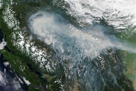 Chlorophyll in the water changes the way it reflects and absorbs sunlight, allowing scientists to map the amount and location of phytoplankton. B.C. wildfire roundup: latest news, interactive map, fire ...