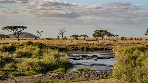 Geographical and historical treatment of tanzania, including maps and statistics as well as a survey of its people, economy, and government. 12 days safari in Tanzania