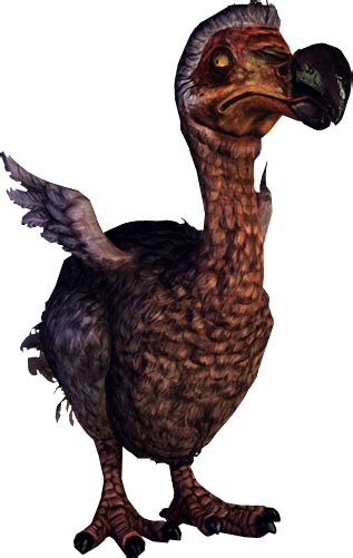 Последние твиты от the dodo (@dodo). Dodo | Alice Wiki | FANDOM powered by Wikia