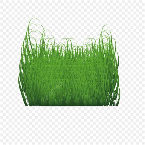 Green Grass Vector Hd Png Images Grass Vector Design Green Grass