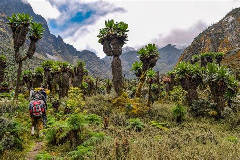 Rwenzori Mountains Things To Do And See