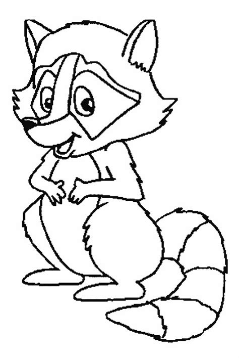 Raccoon Printable Coloring Pages