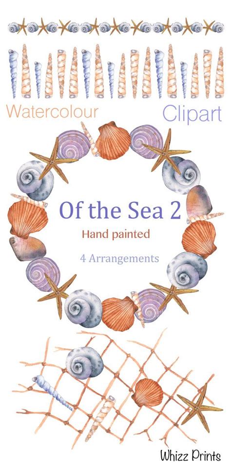 Seashell Watercolor Clipart Seashell Wreath Clipart By Whizzprints