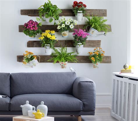 Somos conscientes del valor de las plantas, ya. Dale un toque de diseño a tu casa con nuestra variedad de plantas para interior. | Decoración de ...