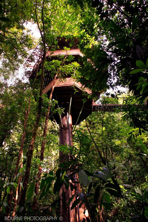 A modern ghost story with a message. Tree House Pictures | HGTV