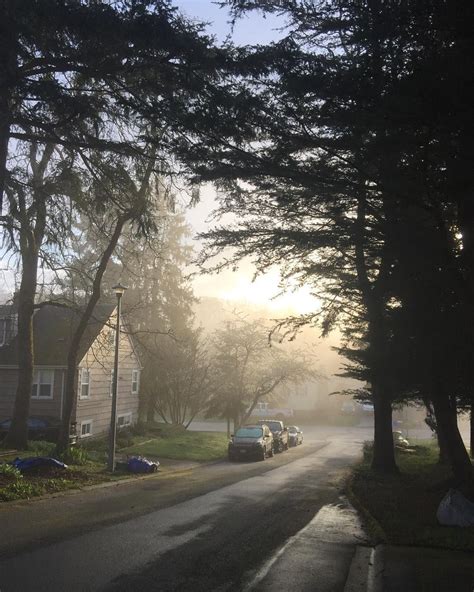 Morning Fog Yyj Instagram Photo Country Roads