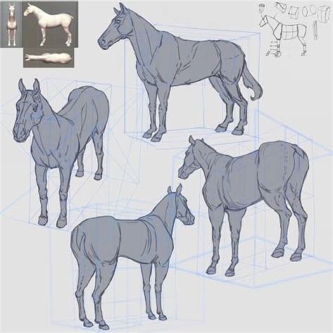 My Perspective Journey Continues With New Subject Horses Are Great And
