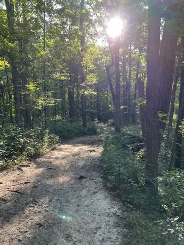 Best Hikes And Trails In Salamonie River State Forest Alltrails