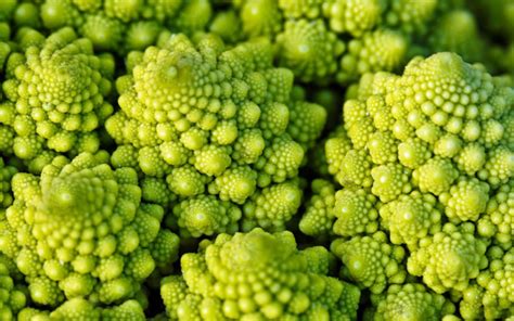 What Is Romanesco How Do You Cook It 5 Best Romanesco Recipes