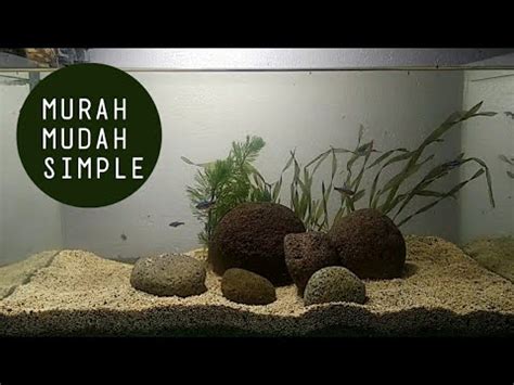 Penjual ikan hias dan aquarium, blora, jawa tengah, indonesia. Aquarium Batu kali Murah Dan Simple - YouTube