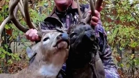 Pictures Go Viral After Hunter Nabs Two Headed Deer In Kentucky Youtube