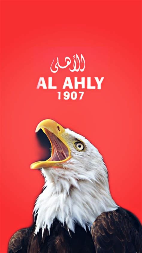 Al ahly played against zamalek in 3 matches this season. #الاهلي | Al ahly sc, Football wallpaper, Egyptian