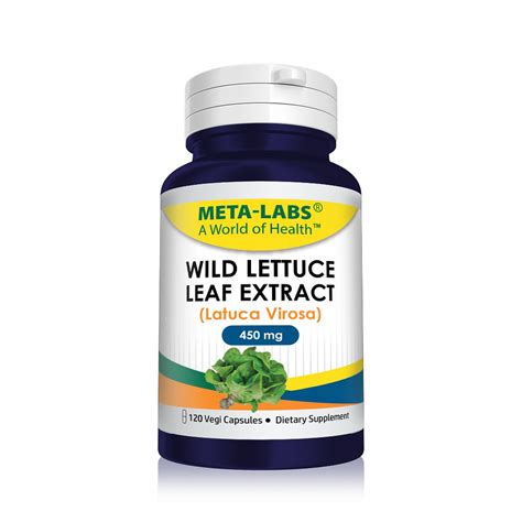 Wild Lettuce Leaf 120 Wild Lettuce Extract 450 Mg Mysite 2
