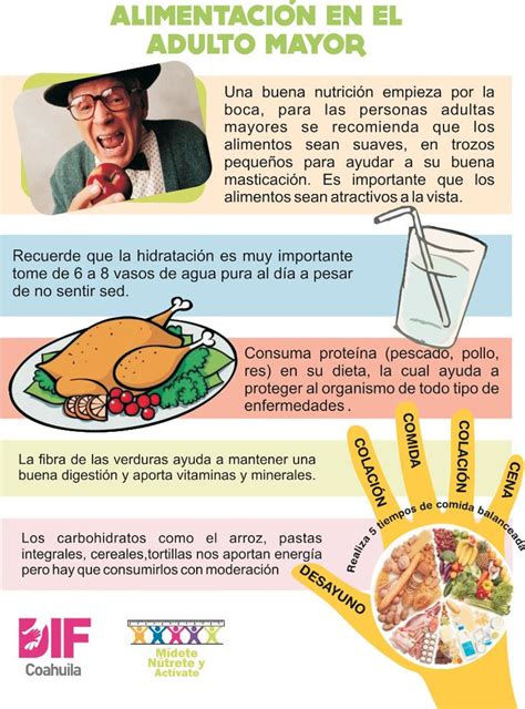 AlimentaciÓn Para El Adulto Mayor