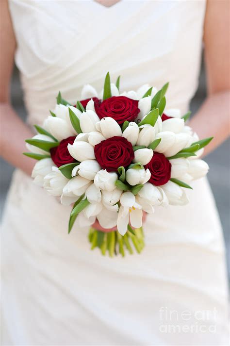Maybe you would like to learn more about one of these? Red Rose And White Tulip Wedding Bouquet Photograph by Lee ...
