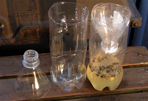 How To Make A Wasp Trap Soda Bottle