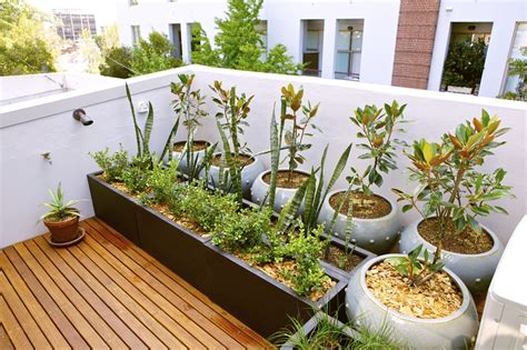 Transform a rooftop terrace into a lush garden retreat to get some fresh air in the middle of a city. Rooftop Gardening For City Dwellers - Gardening Know How