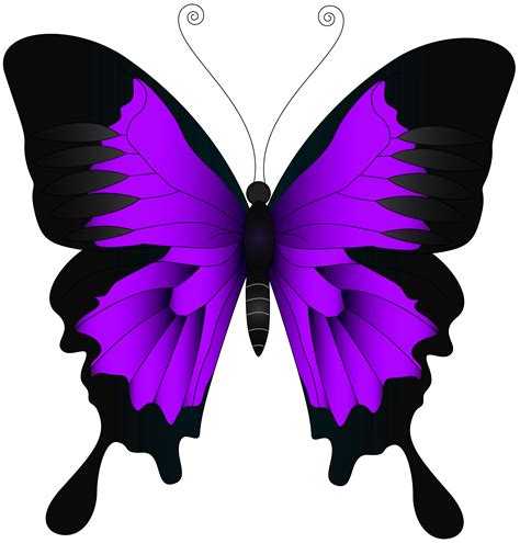 Pink Butterfly Clip Art Clip Art Library