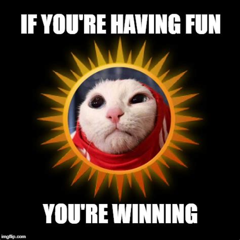 Winner Cat Meme