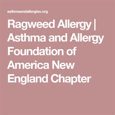 Ragweed Allergy Asthma And Allergy Foundation Of America New England