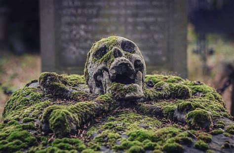 Skull Graveyard Graves Mossy Badass Green Aesthetic Graveyard Skull