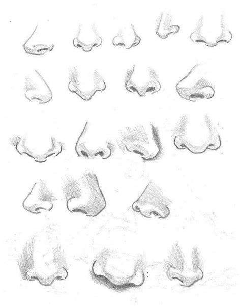 Pin by Daria Bernabei on Drawing tips | Nose drawing, Drawing people gambar png