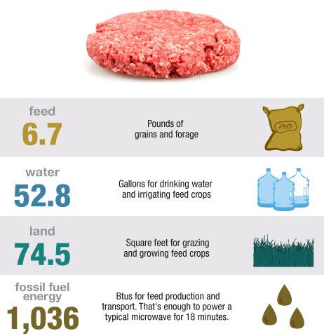 You get more meat than you thought you would. Every Day Is Special: March 24 - Meat Free Week