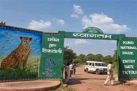 Kuno Palpur National Park A Serene Wildlife Experience In Madhya