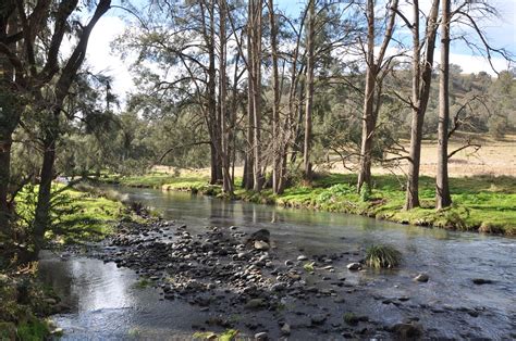 'Coomoologue' Stewarts Brook Rd, Stewarts Brook NSW 2337 - Sold Rural