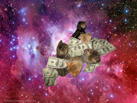 Dollar Cat Meme Cat Planet Cat Planet