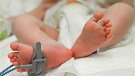 Apa saja jenis program bayi tabung yang tersedia di indonesia dan berapa biayanya? Virus Corona, Bayi Baru Lahir di Thailand Lahir Kenakan ...
