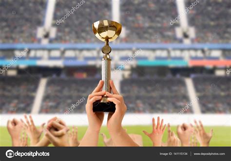 We Have Won The World Cup — Stock Photo © Nanaplus 141115134