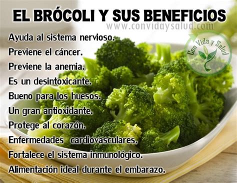 El Brócoli Y Sus Beneficios Con Vida Y Salud