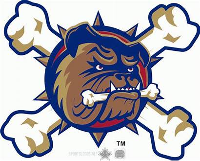 Bulldogs Hamilton Hockey Bull Logos Sports Ohl