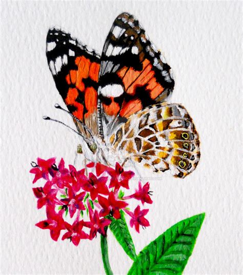 Painted Lady Butterfly By Cindysfineartstudio On Deviantart