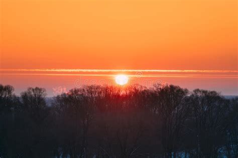 Sun Over Horizon Woods Or Forest Orange Sunset Sky Natural Colors Of