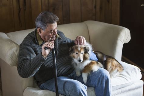 Benefits Of Animal Assisted Therapy For Seniors Seniorlivingu