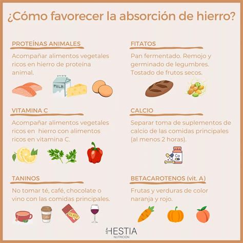 Hierro En La Alimentación ¿tienes Los Niveles Adecuados