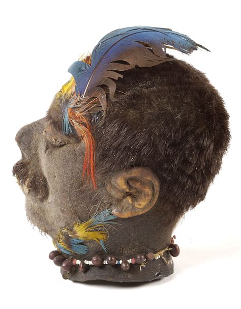 A Shuar Shrunken Head Tsantsa From Ecuador With A Stitched Mouth And