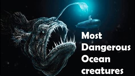 What Are The Most Dangerous Ocean Creatures Youtube