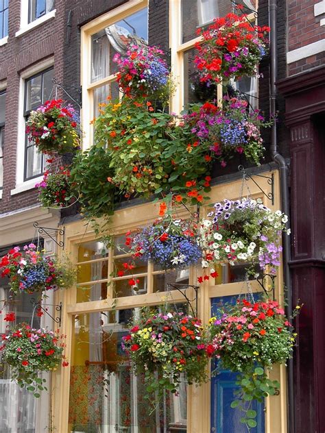 Flower House Free Photo Download Freeimages