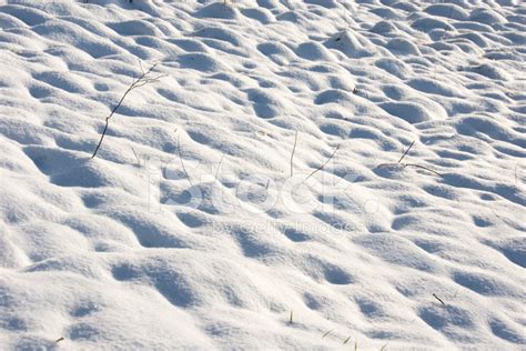 Snow On The Ground Stock Photo Royalty Free Freeimages