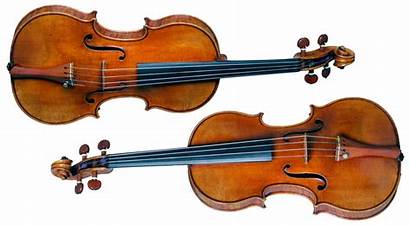 Violin Fiddle Difference Between Strings Learn Classical
