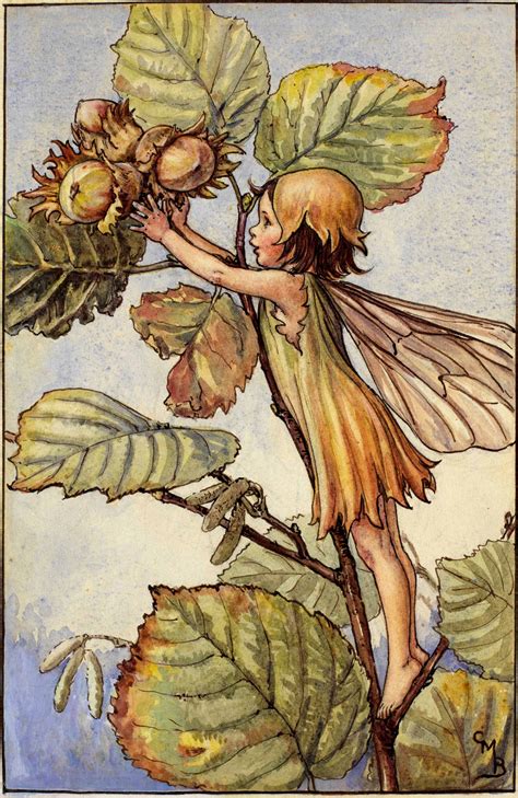 Hazel Nut Fairy Art Flower Fairies Cicely Mary Barker
