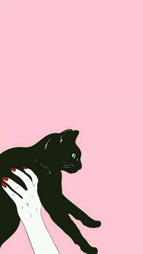 Black Cat Gato Negro Fondos××××××× Kitty Wallpaper Iphone 6 Wallpaper