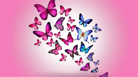 Just tap on the image and select set as wallpaper. Pink Butterfly Backgrounds ·① WallpaperTag