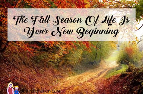The Fall Season Of Life Is Your New Beginning Finding Ninee