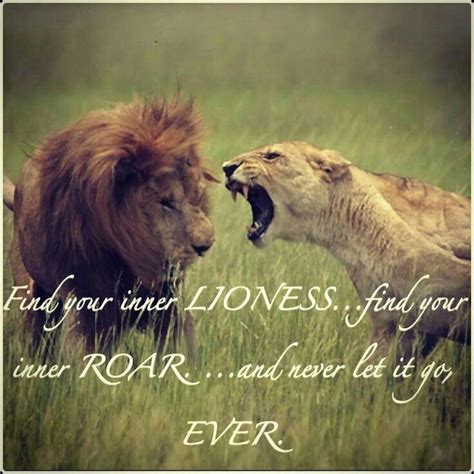 (savitar) why hasn't one of the other jaguars taken his place? Pin by Beautiful Wonderland on lion | Lioness quotes, Lion quotes, Inspiring quotes about life